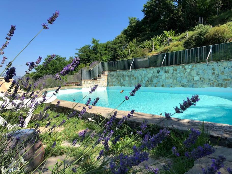 Podere Beatrice 20 Pax By Villasretreats Bardine di San Terenzo Dış mekan fotoğraf